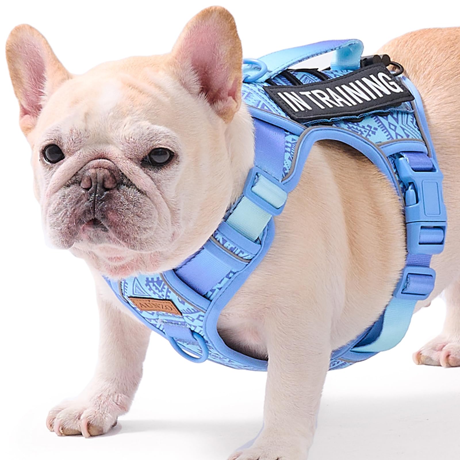 AUNZO dog vest harness front clip enables no-pull training and control.
