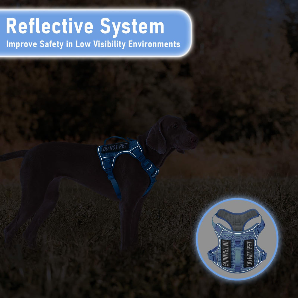 AUNZO reflective trim enhances safety during low-visibility evening walks.