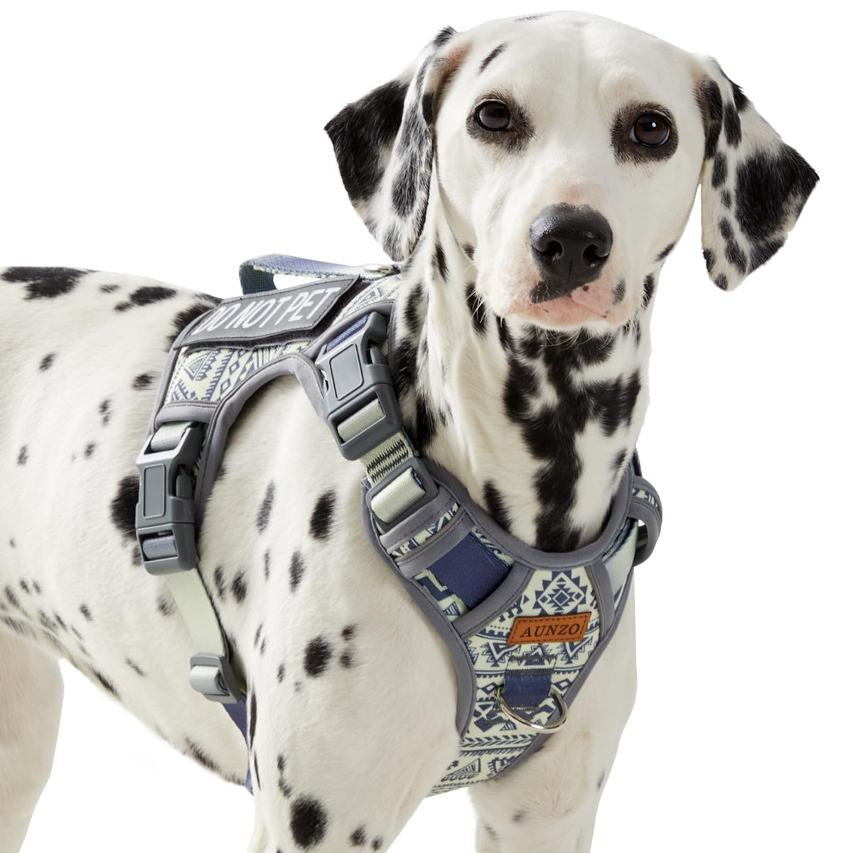 AUNZO Heavy Duty Harness front view with dual leash clips for no-pull control