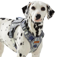 AUNZO Heavy Duty Harness front view with dual leash clips for no-pull control