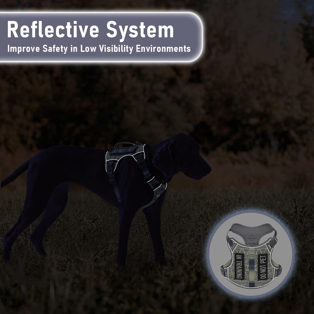 AUNZO heavy-duty harness with reflective trim for nighttime visibility