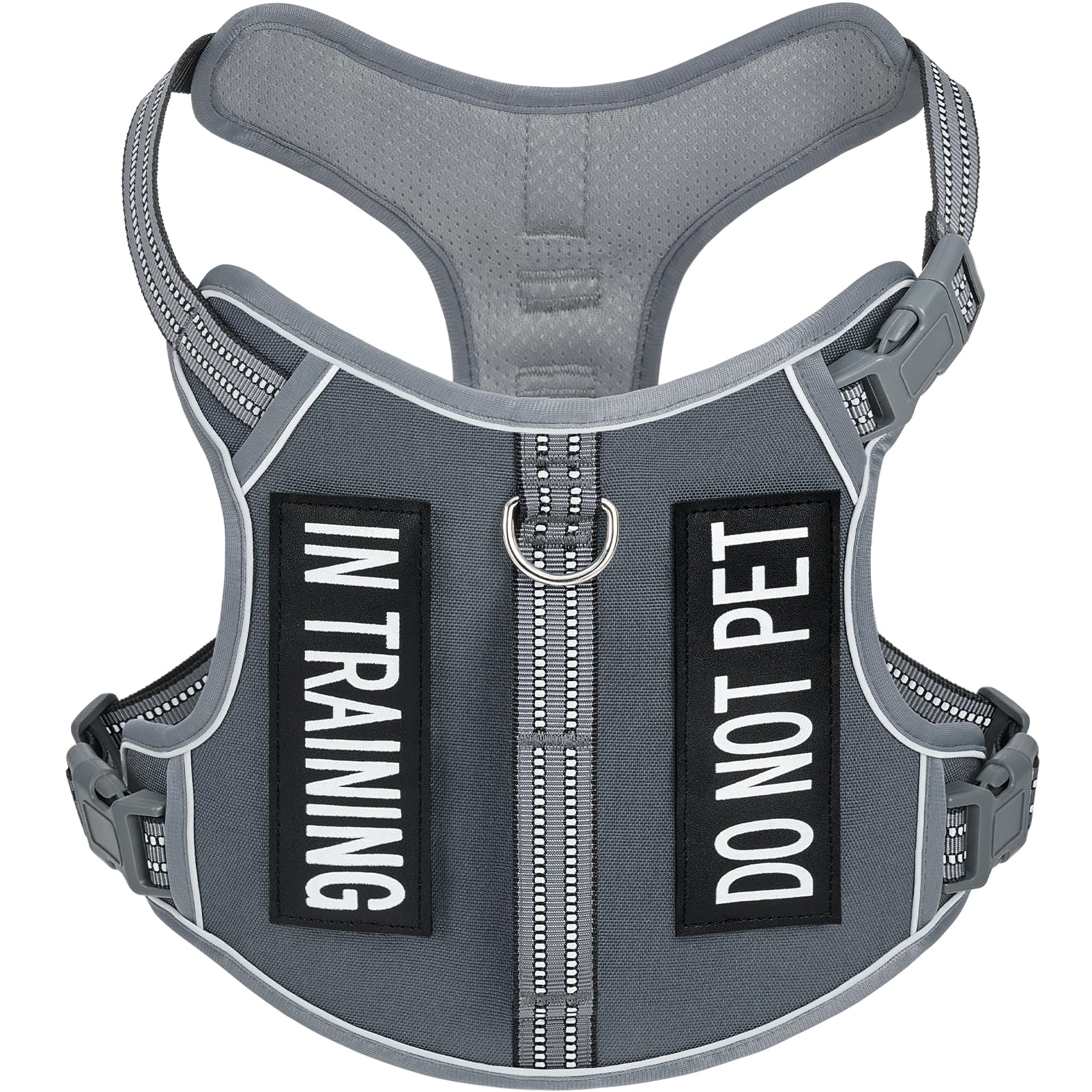 AUNZO light dog harness on a small gray dog for active daily walks