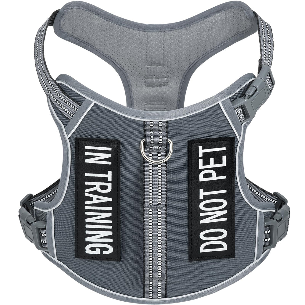 AUNZO light dog harness on a small gray dog for active daily walks