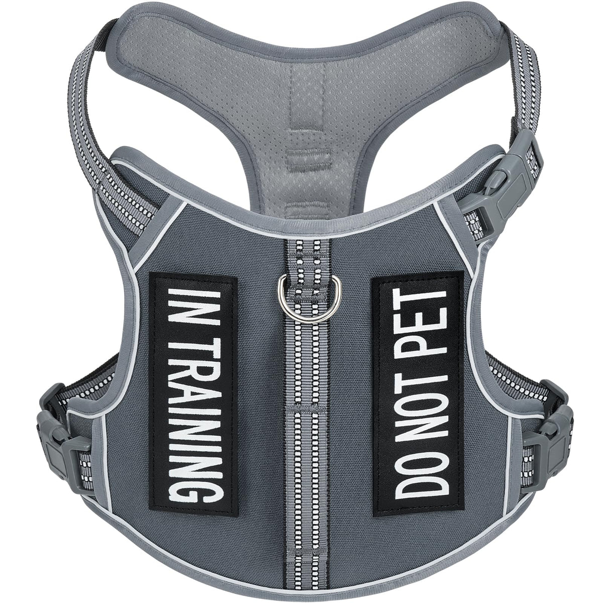 AUNZO light dog harness on a small gray dog for active daily walks