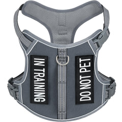AUNZO light dog harness on a small gray dog for active daily walks