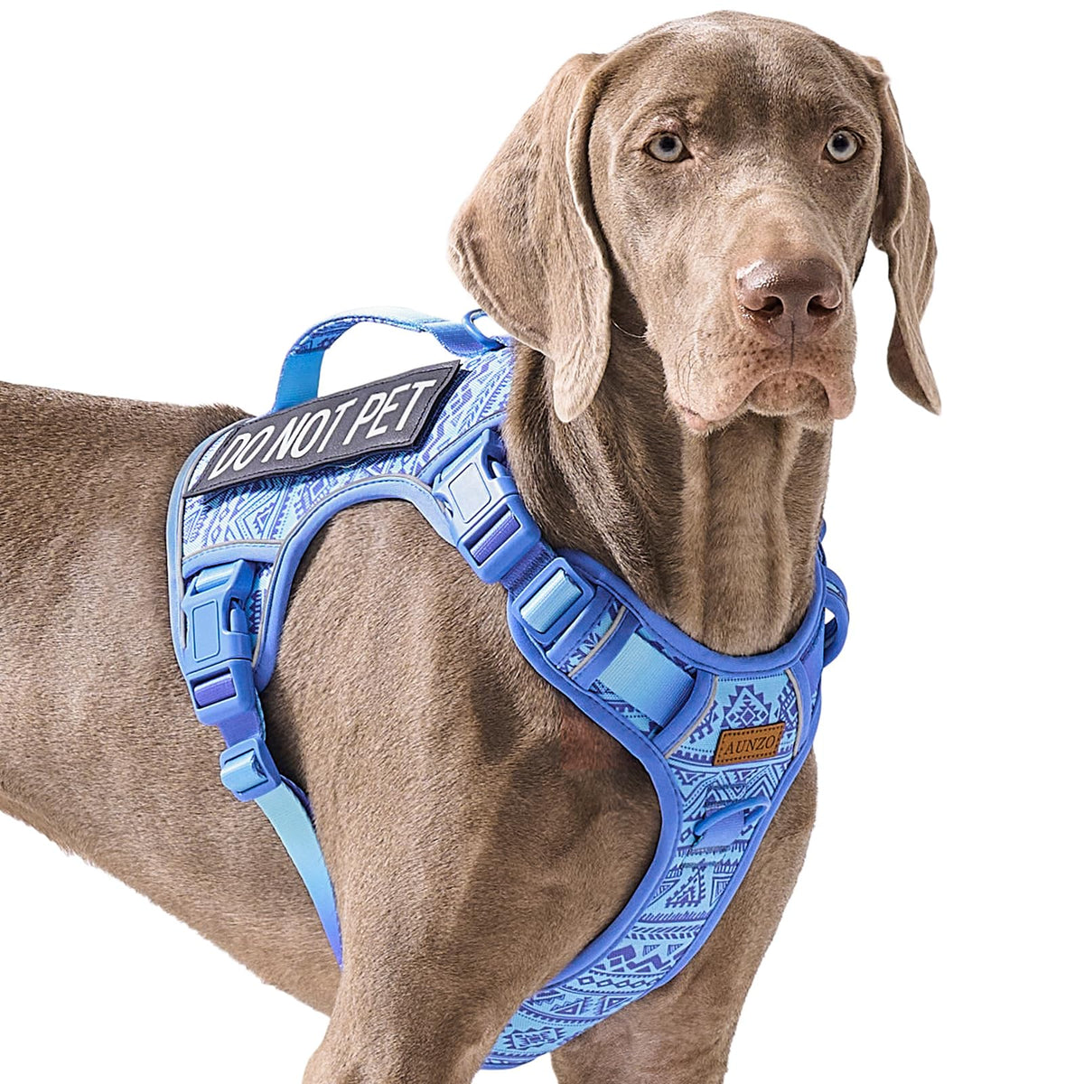 AUNZO No Pull Harness front clip in action guides large dogs on walks.