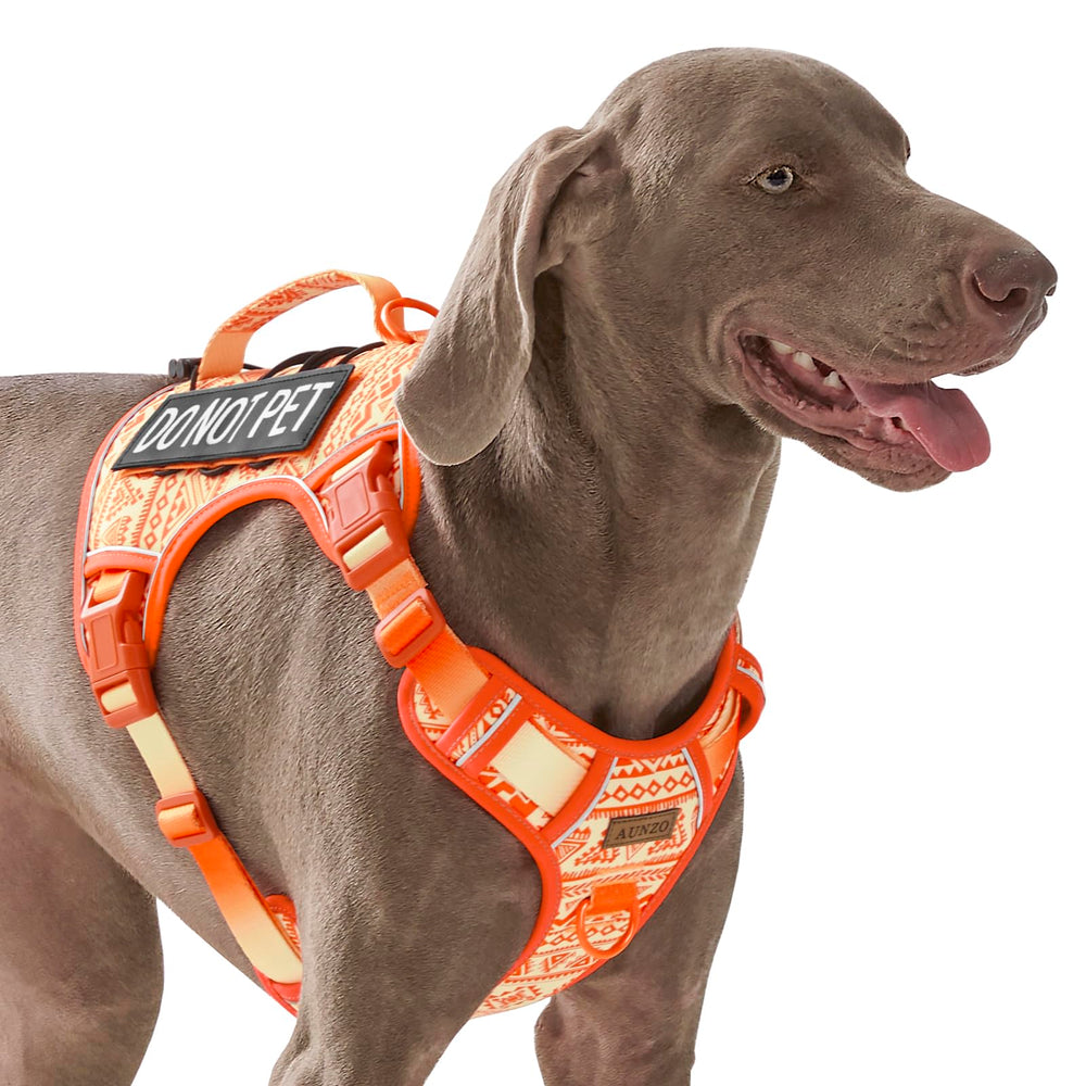 AUNZO orange tactical dog harness front view for large breeds with no-pull control.