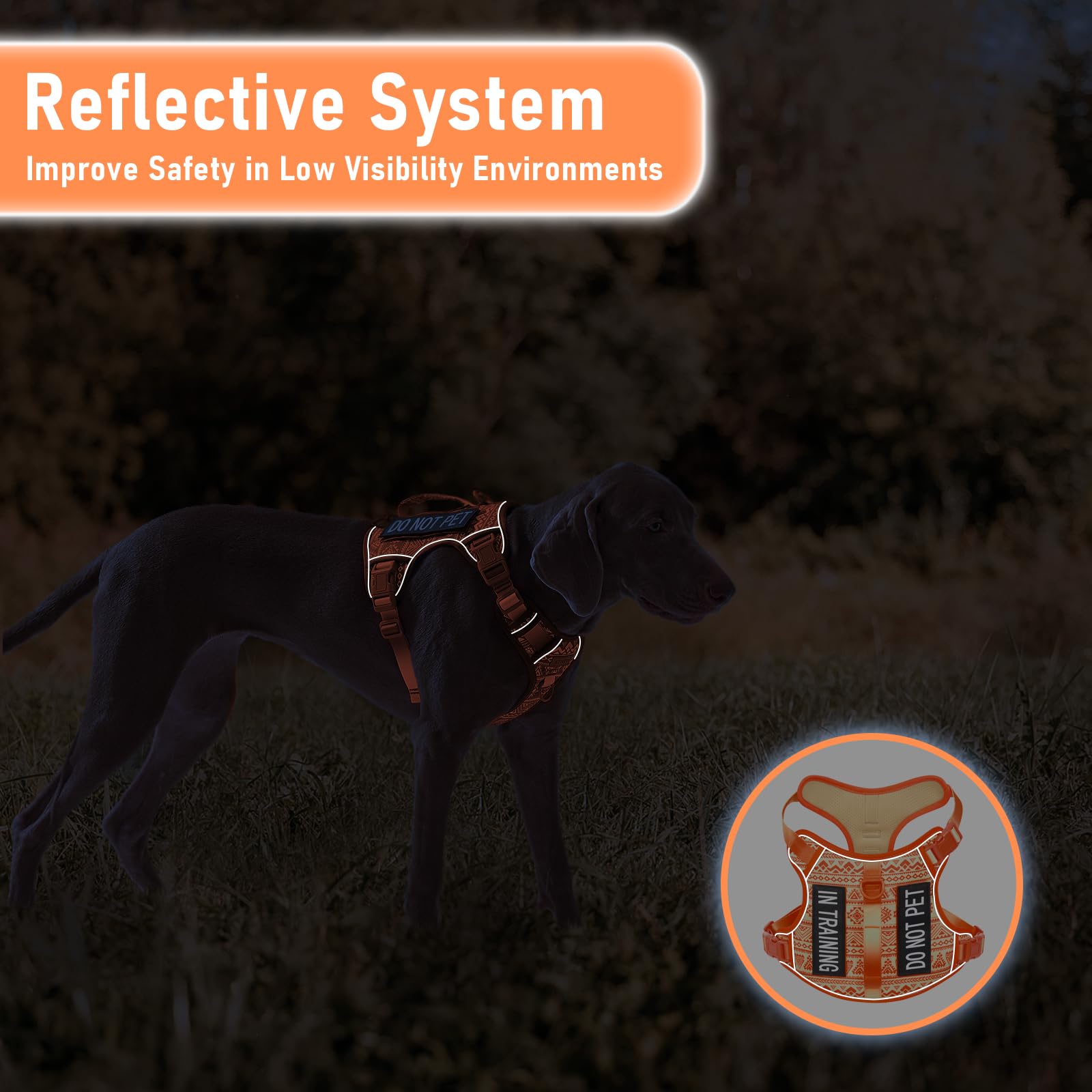 AUNZO breathable mesh harness example to keep dogs cool during activity