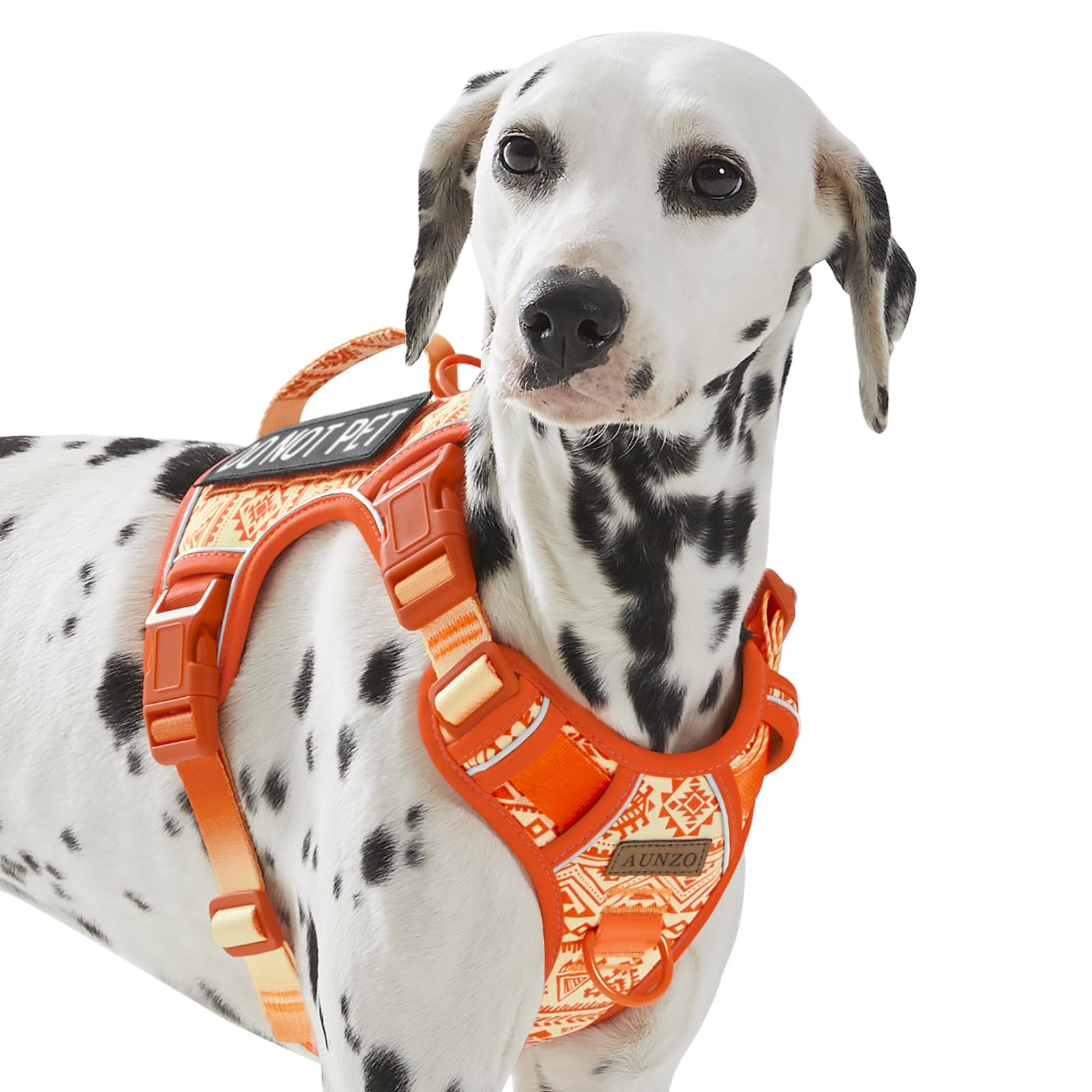 AUNZO Tactical dog vest harness front view showing no-pull design for controlled walks