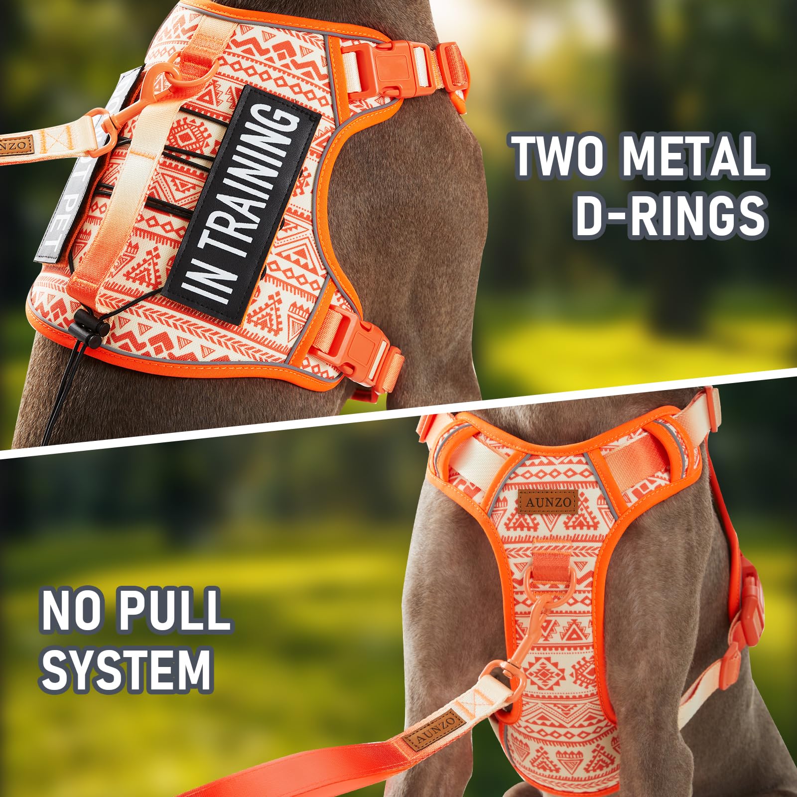 AUNZO harness with padded handle in use for steady, secure guiding