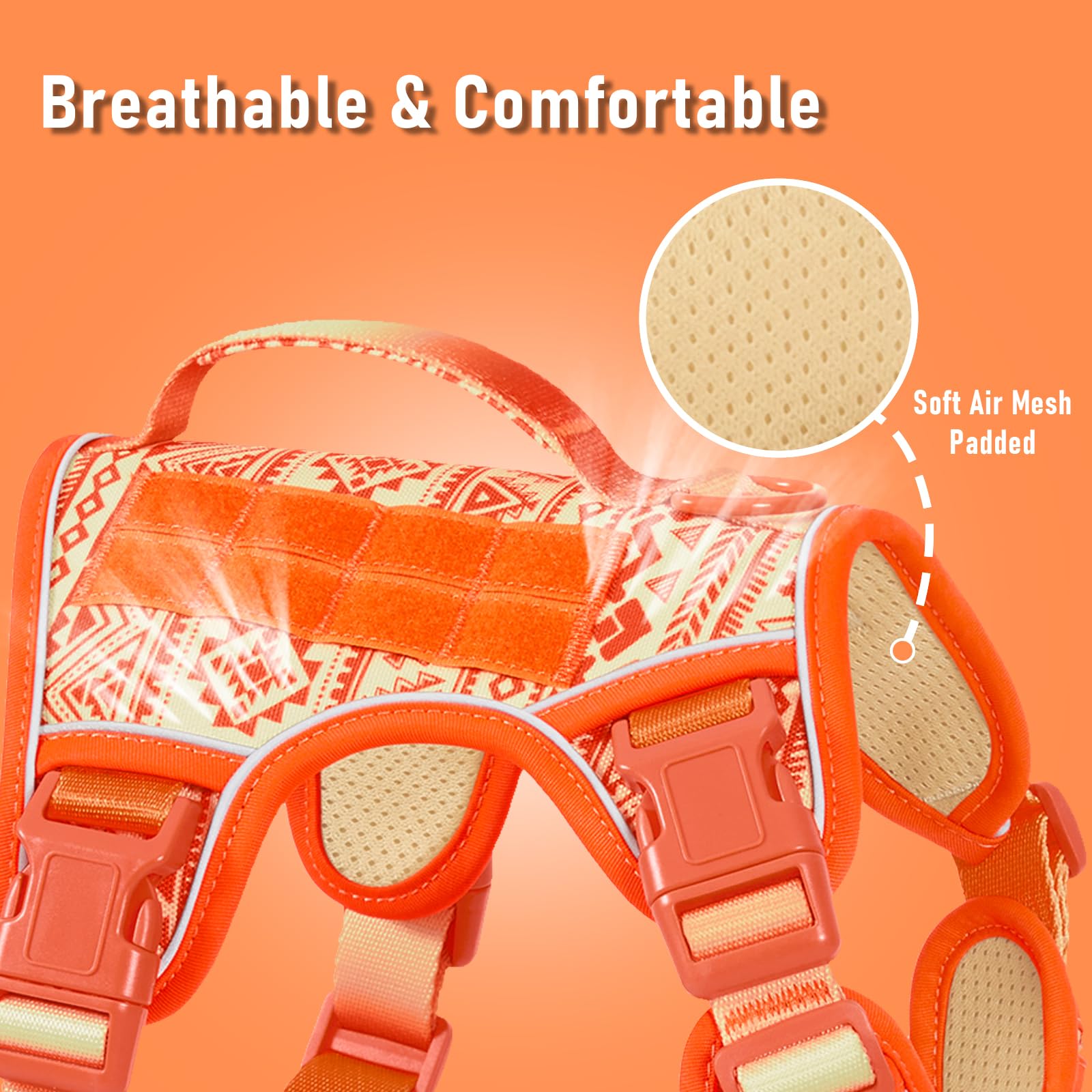 AUNZO harness with two leash clips for versatile training and daily walks