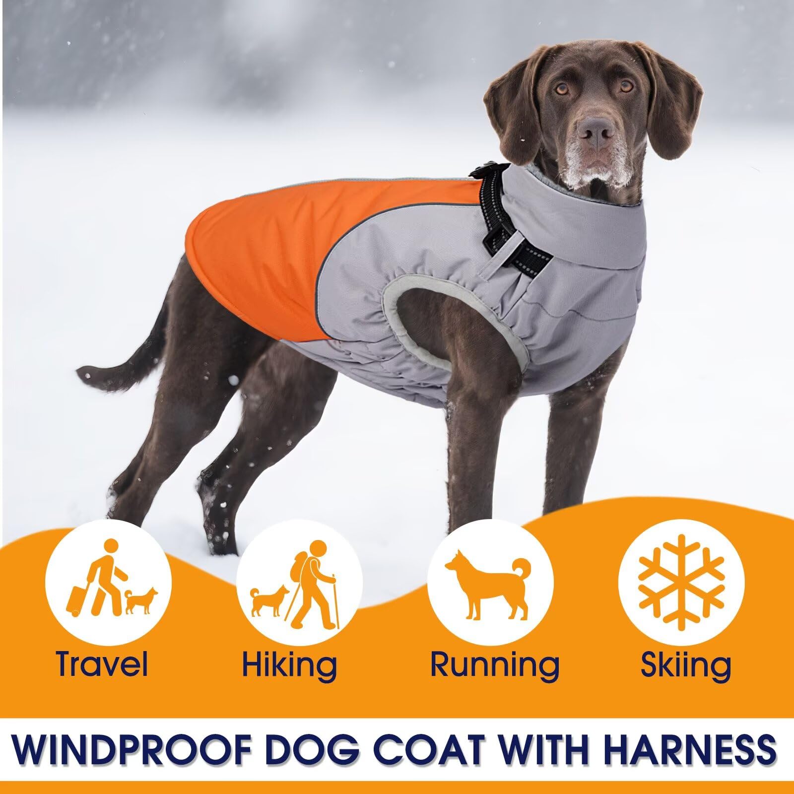 AuraPaw orange dog coat combines warmth and stylish design.