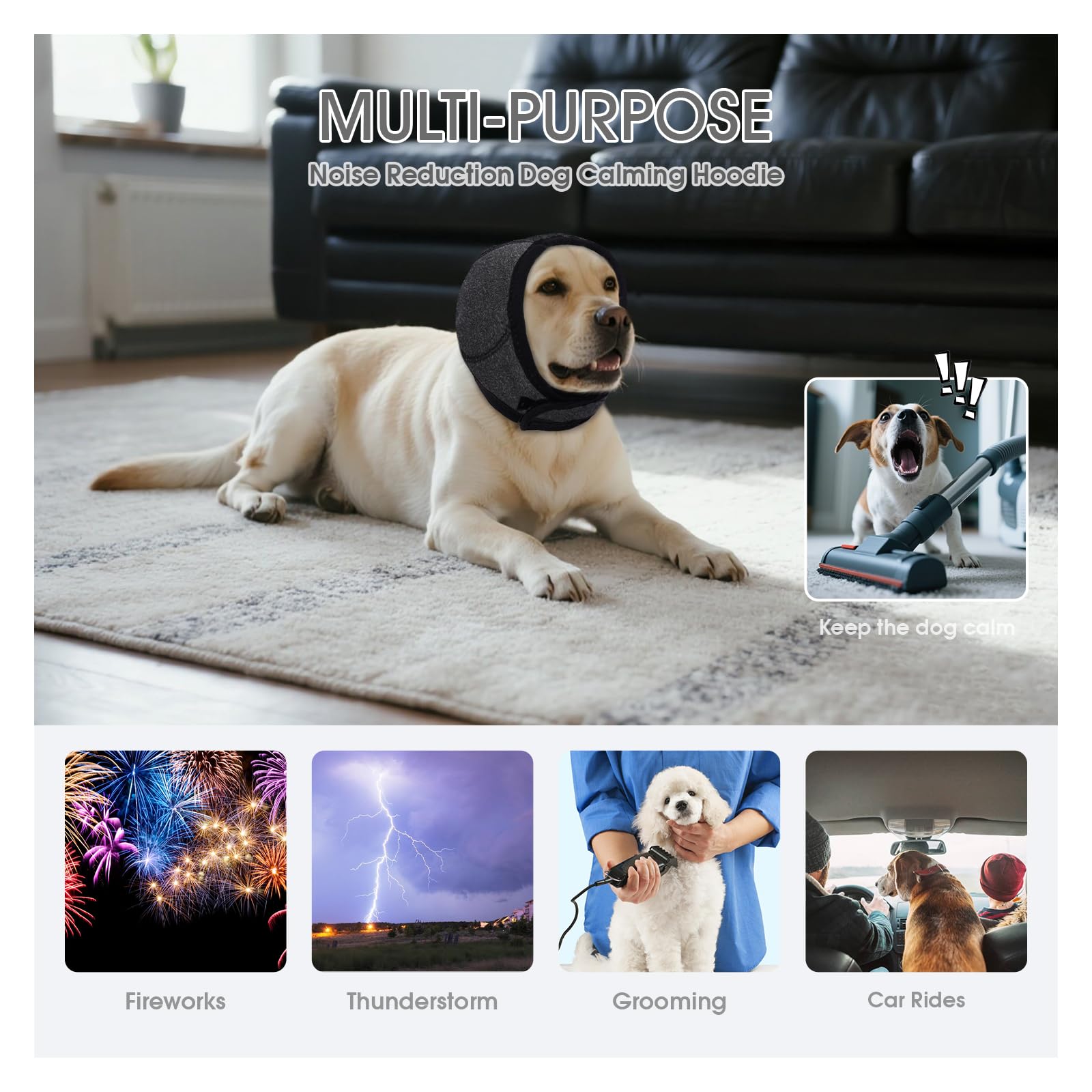 AuraPaw noise reduction feature helps dogs feel calmer during fireworks and thunderstorms.