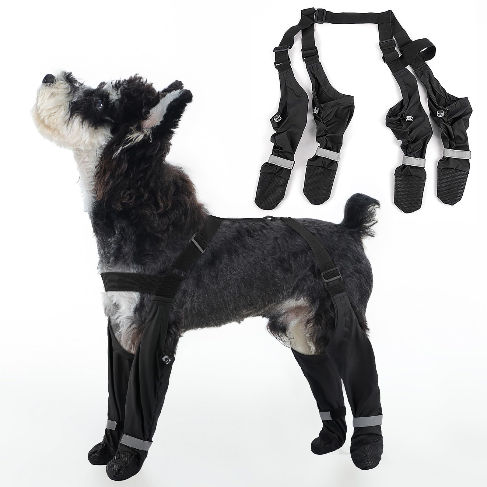 AuraPaw dog suspender boots on paw provide a secure, outdoor-ready fit.