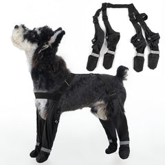 AuraPaw dog suspender boots on paw provide a secure, outdoor-ready fit.