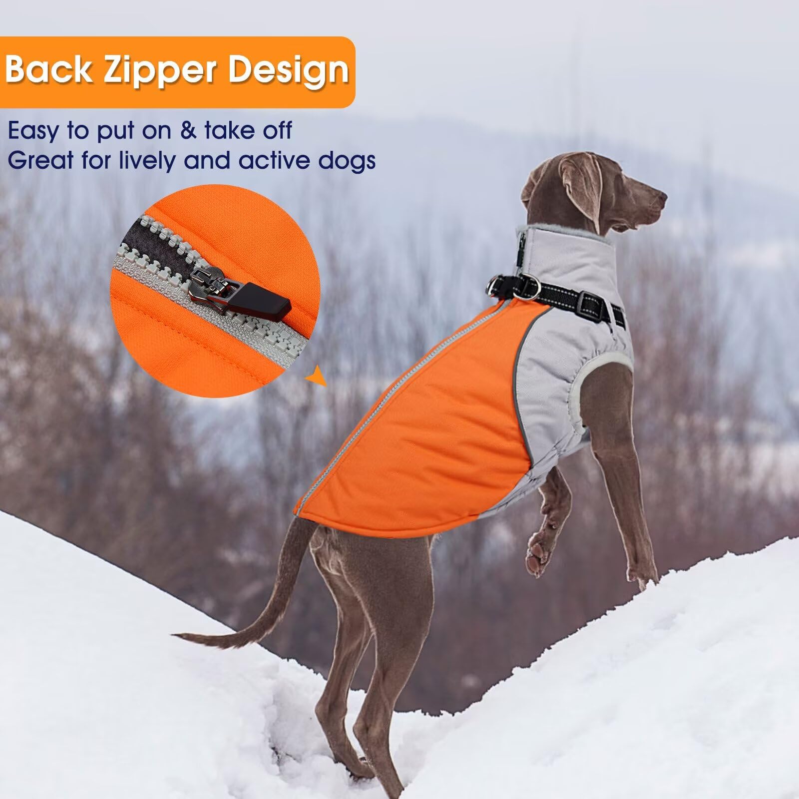 AuraPaw winter coat ready for hiking, running, and outdoor adventures.