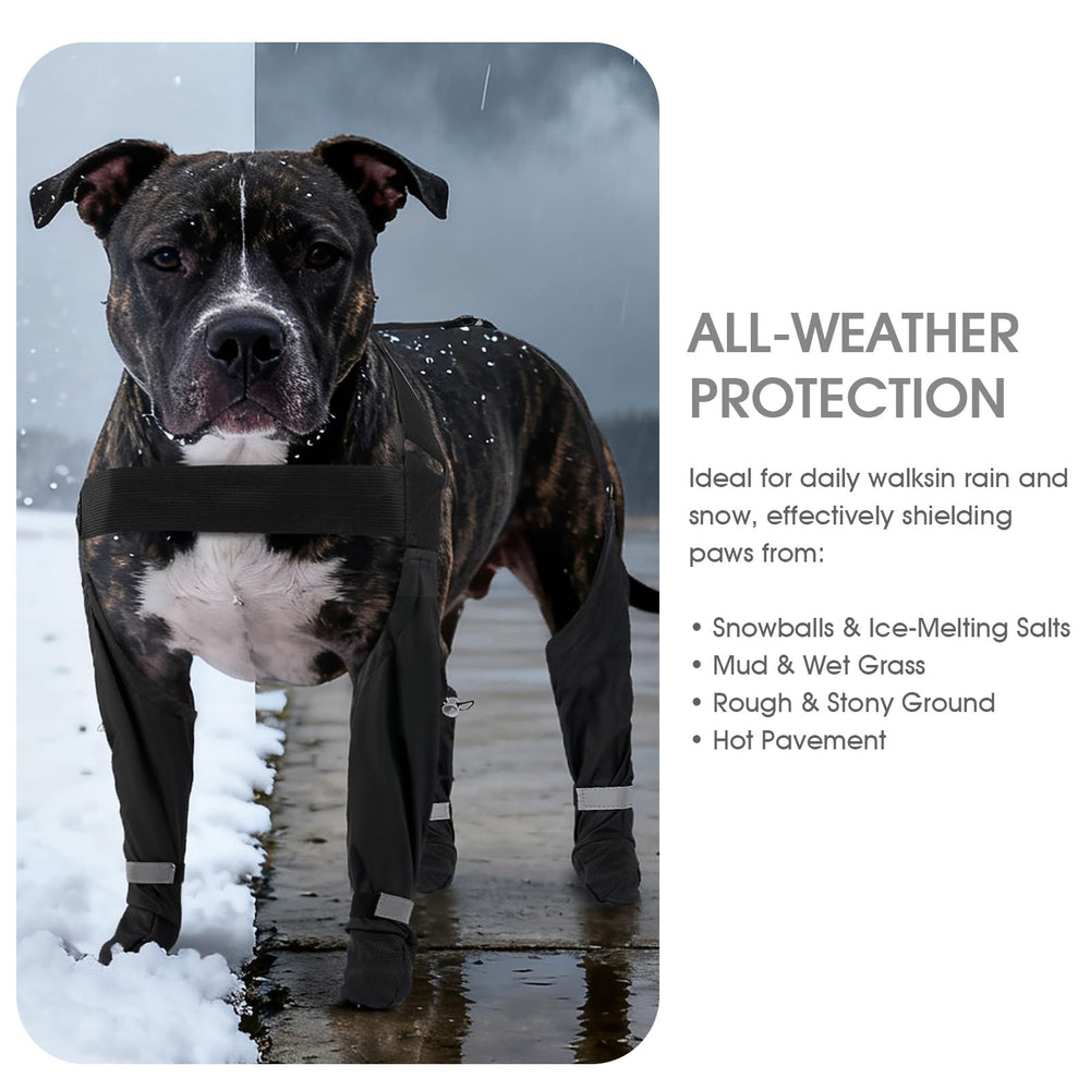 AuraPaw high-visibility ankle straps aid safety in low light