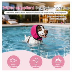 AuraPaw ear muffs shield dog from loud fireworks for calmer exposure.