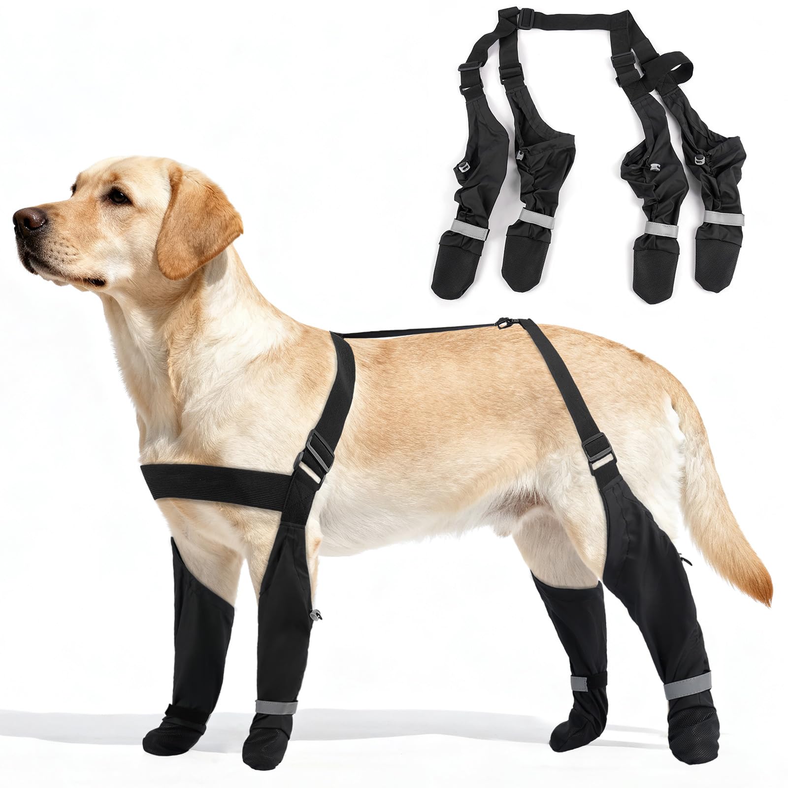 AuraPaw reflective dog shoes boost nighttime visibility during walks