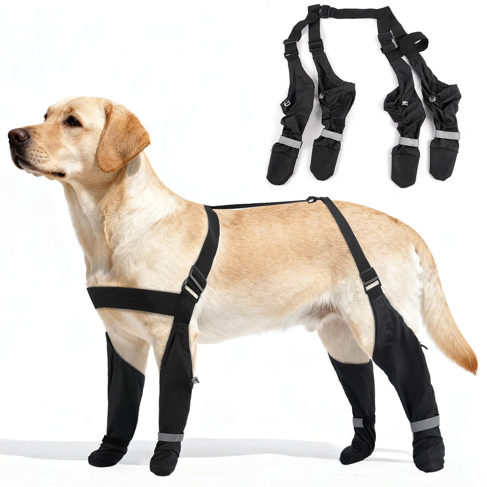 AuraPaw reflective dog shoes boost nighttime visibility during walks