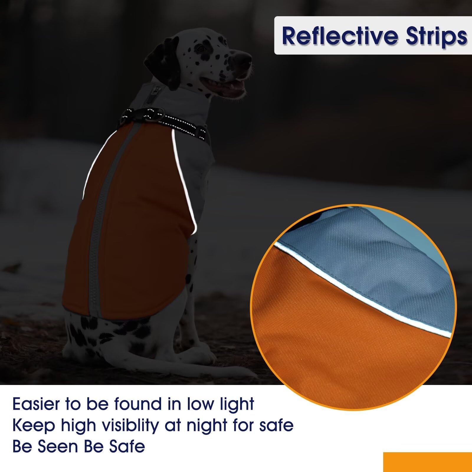 AuraPaw sizes XS–XXXL accommodate small to large breeds.