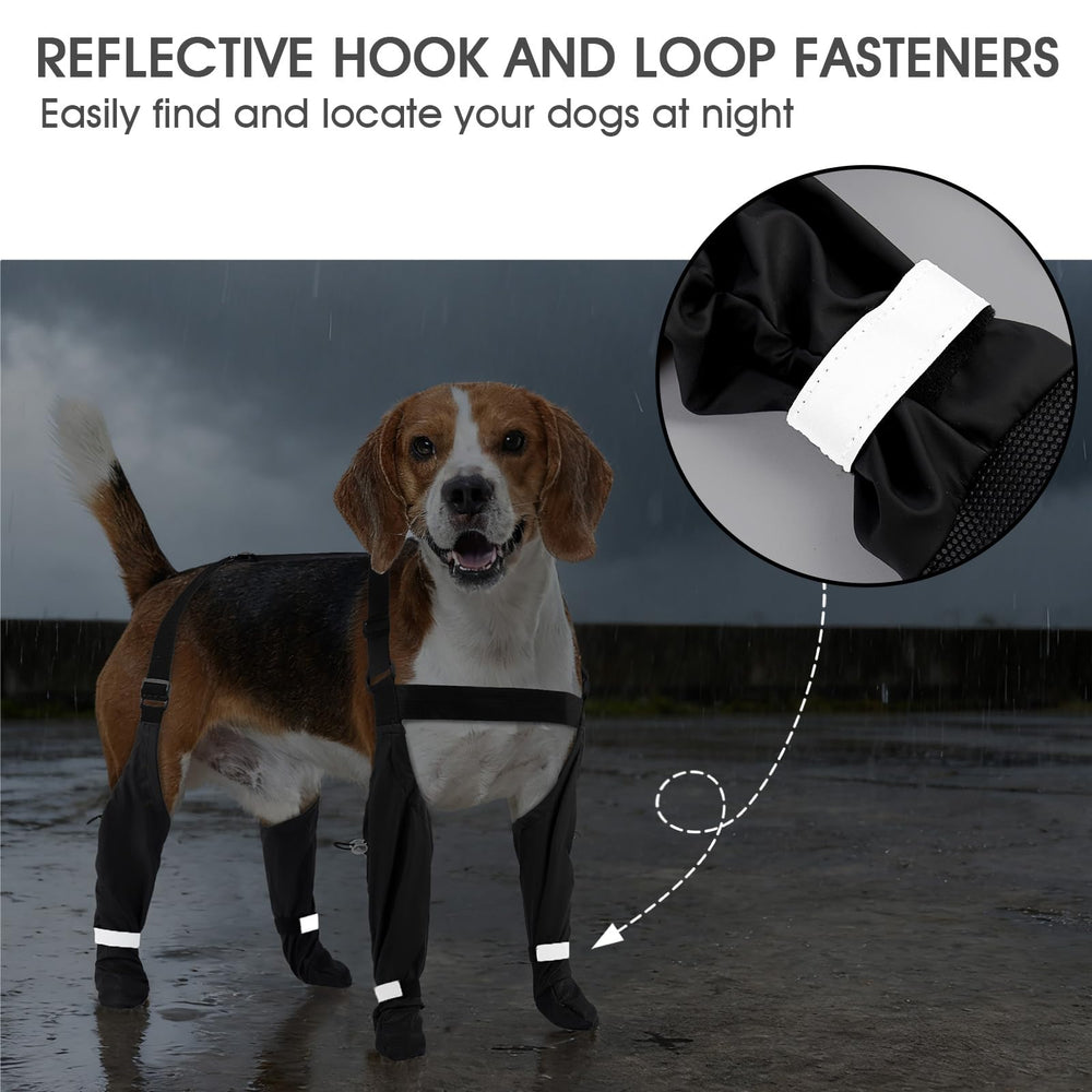 AuraPaw water-resistant dog boots keep paws dry in light rain.