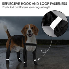 AuraPaw water-resistant dog boots keep paws dry in light rain.