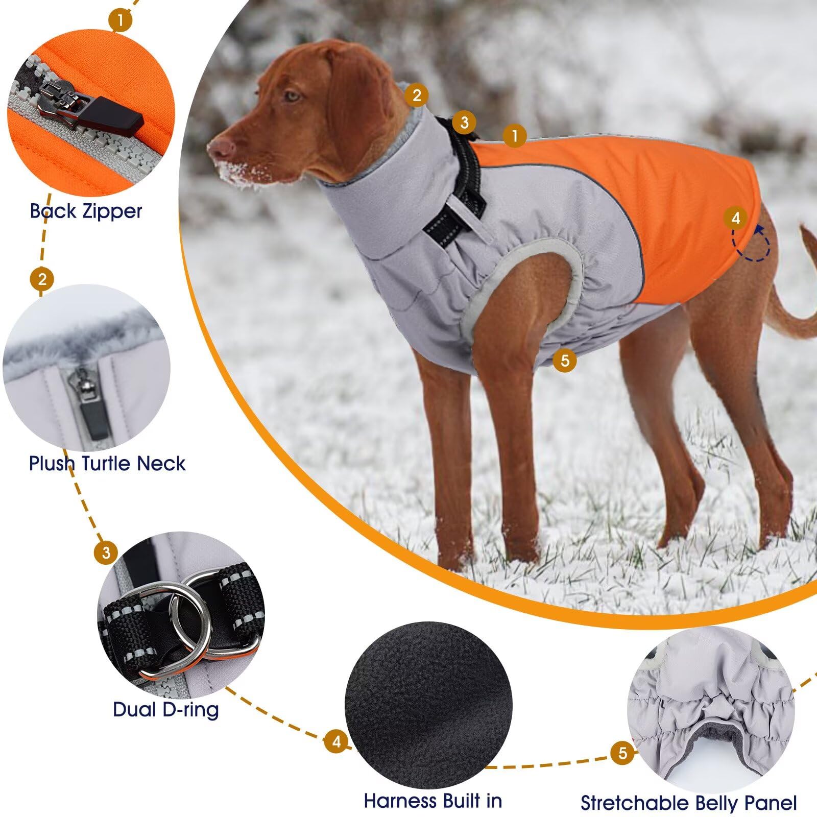 AuraPaw winter dog coat with water-repellent outer layer for light rain.