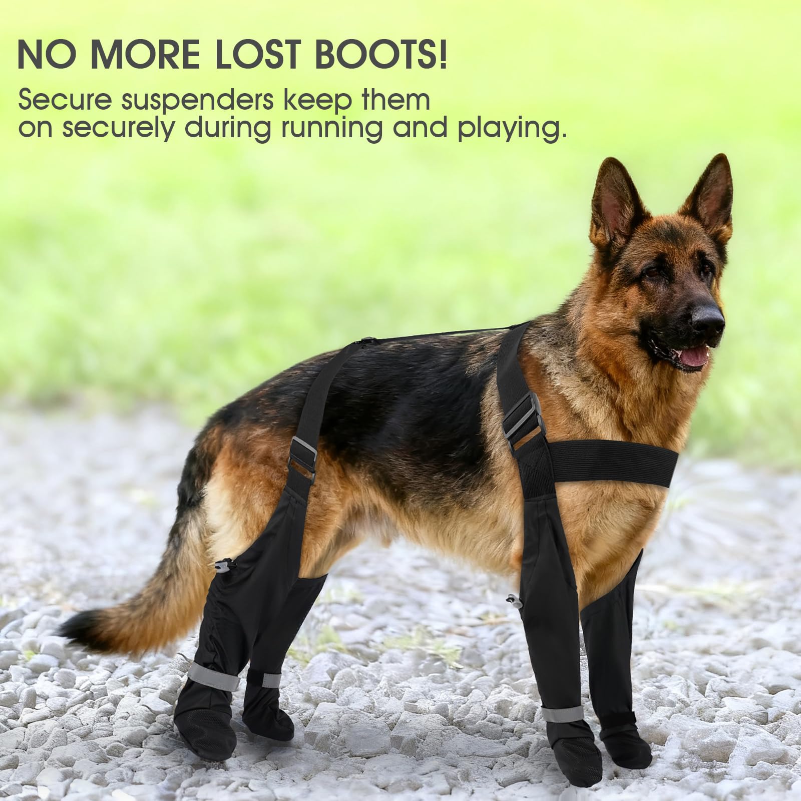 AuraPaw XL size with precise paw measurements ensures fit