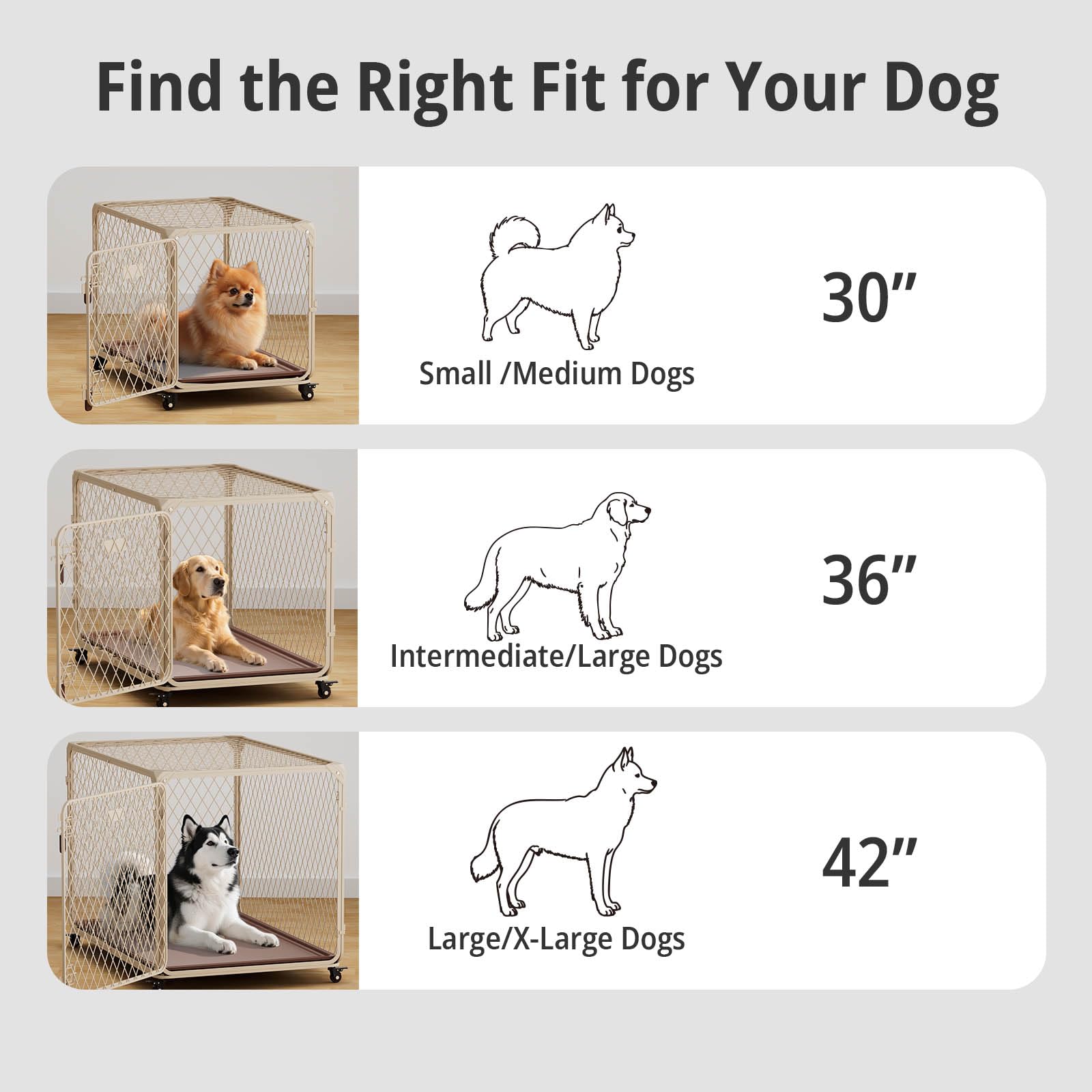 Aurapaws indoor-outdoor use shot shows versatile placement for dogs
