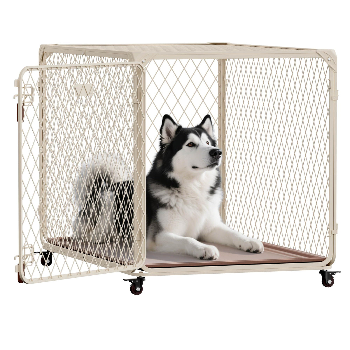 Aurapaws 42-inch diamond mesh crate assembly showcases quick setup and secure confinement.