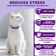 Aurevoen calming collar with breakaway buckle ensures safe daily wear.