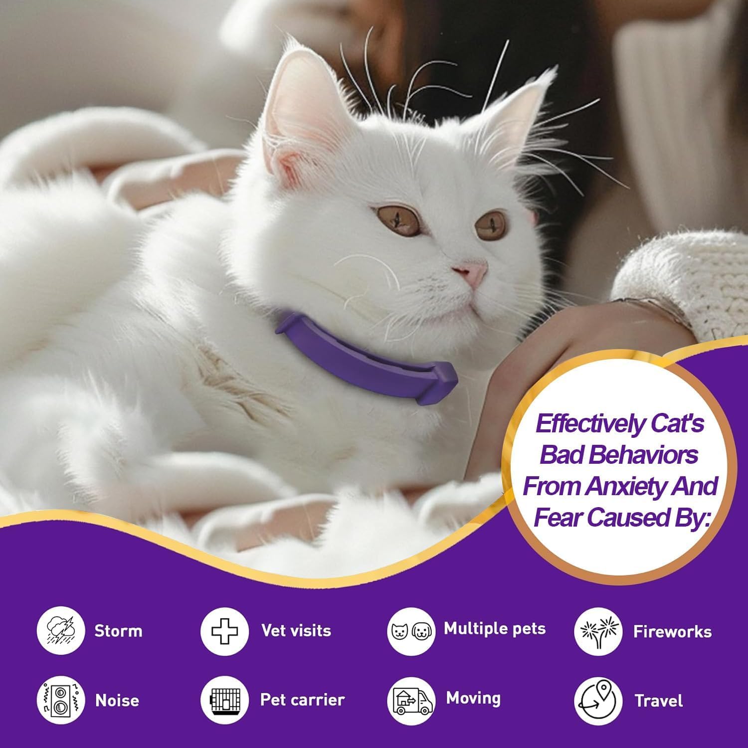 Aurevoen pheromone collar promotes calmer behavior during vet visits.