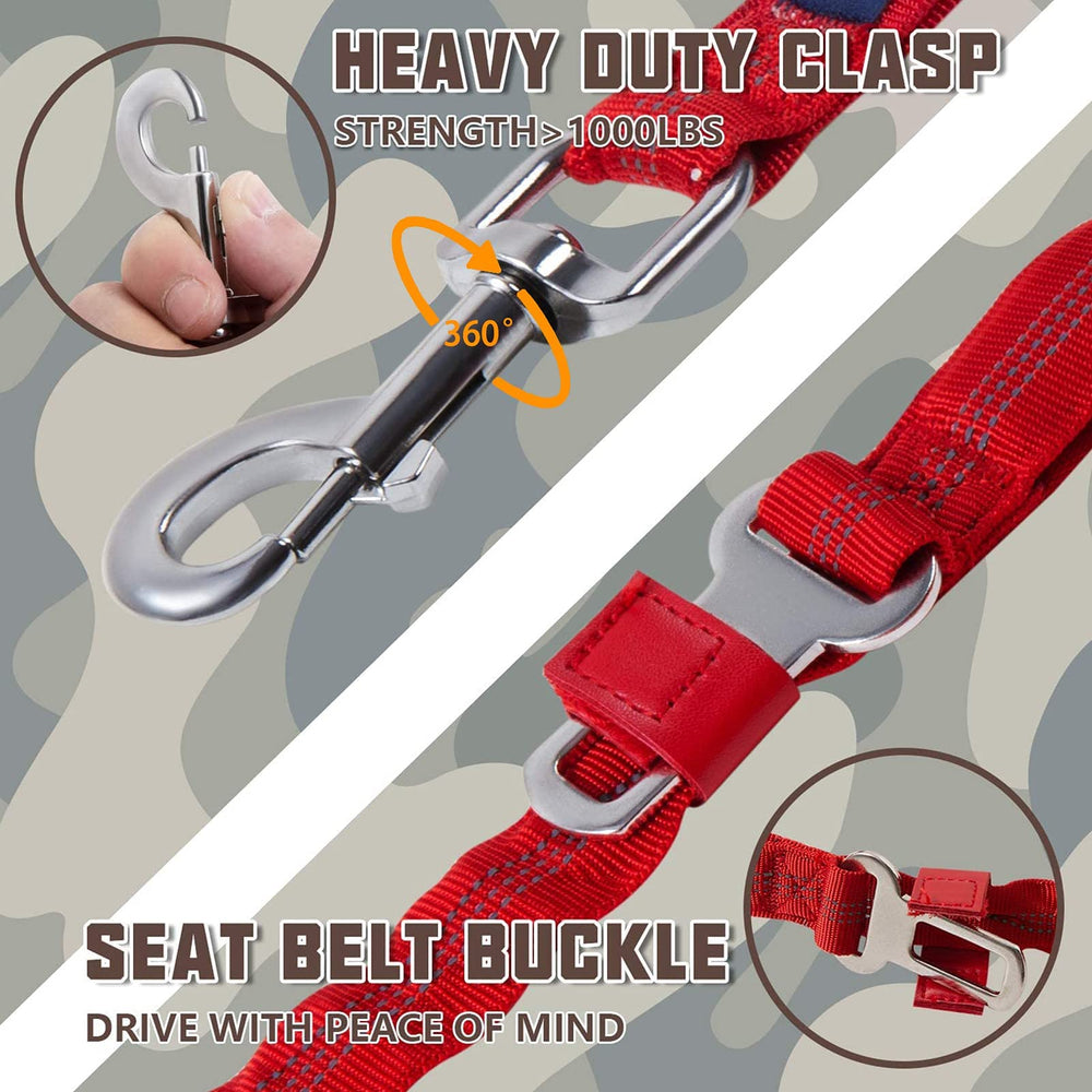 AUROTH bungee leash demonstrating shock absorption for smoother pulls