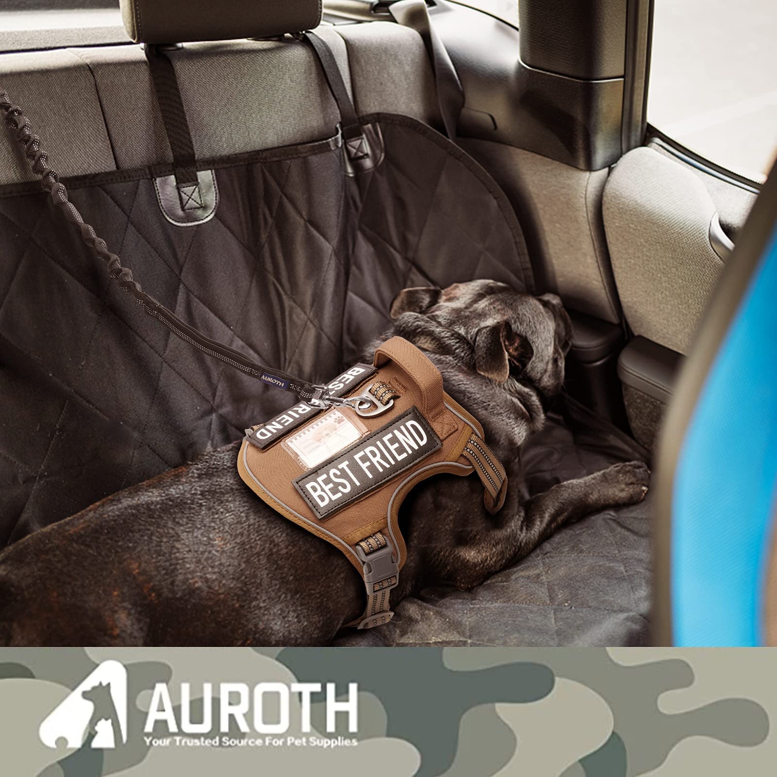 AUROTH correa bungee hebilla compatible con cinturón de coche para seguridad vial.