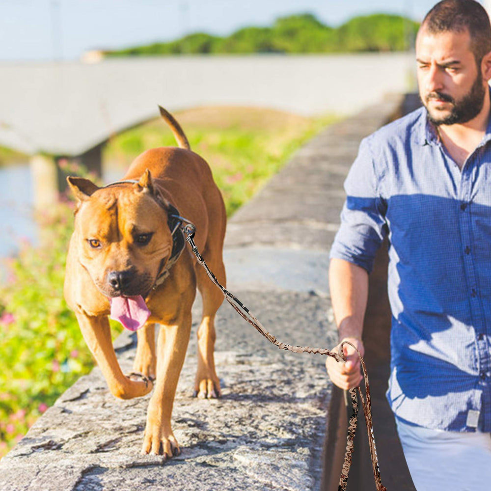 AUROTH desert camo leash in use on a trail