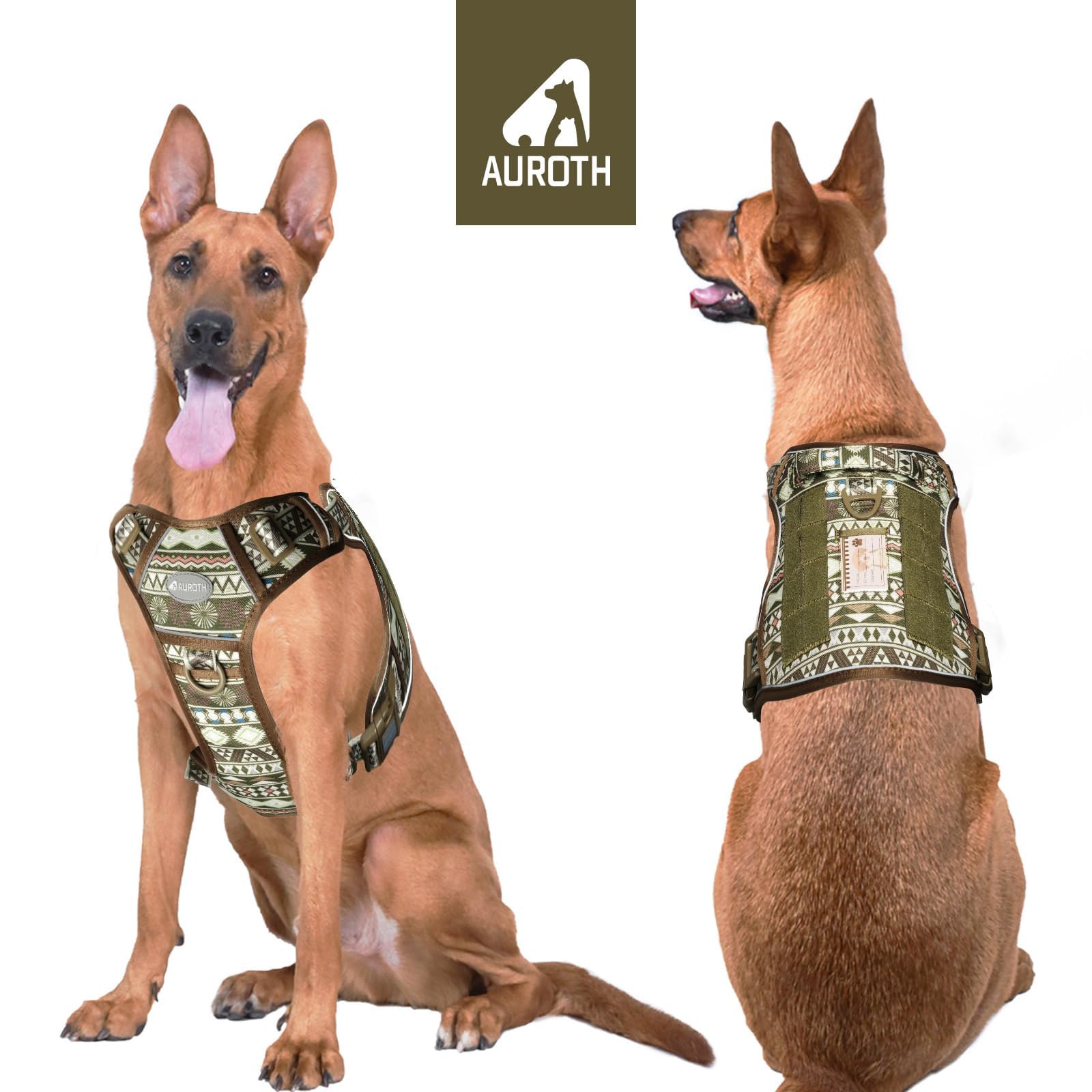 AUROTH dog harness back-clip for casual walks and relaxed control
