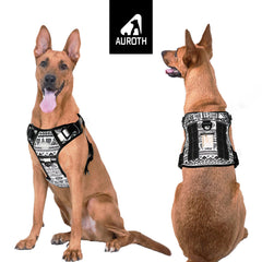 AUROTH dog harness back clip supports casual walks with secure leash attachment