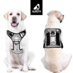 AUROTH dog harness back clip for casual strolls and jogging.