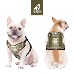 AUROTH dog harness back view shows sturdy handle for quick control