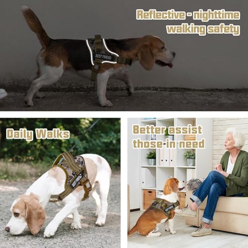 AUROTH harness easy-on-off design simplifies quick fittings during outings.