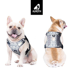 AUROTH Dog Harness front clip used for training and gentle corrections during walks.