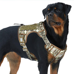 AUROTH dog harness front-clip for no-pull training during walks