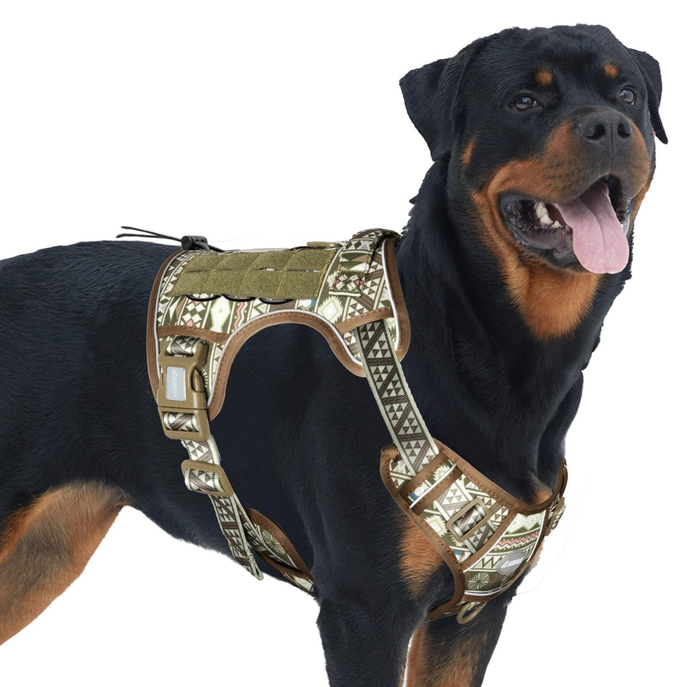 AUROTH dog harness front view highlights no-pull comfort during walks.