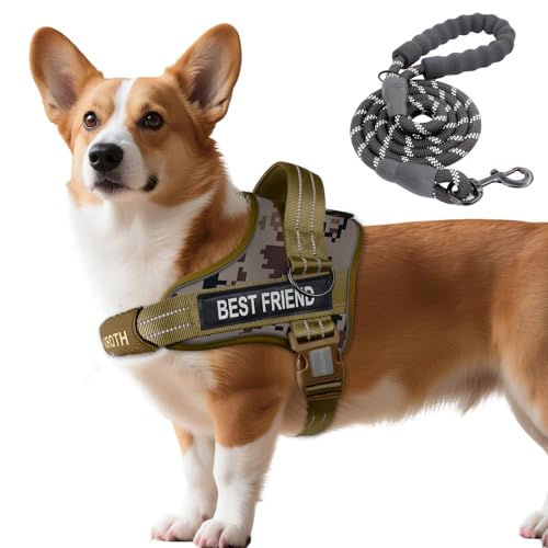 AUROTH left-side D-ring for easy access to essentials during walks.