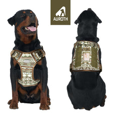 AUROTH dog harness quick-release buckles enable easy on/off for busy owners.