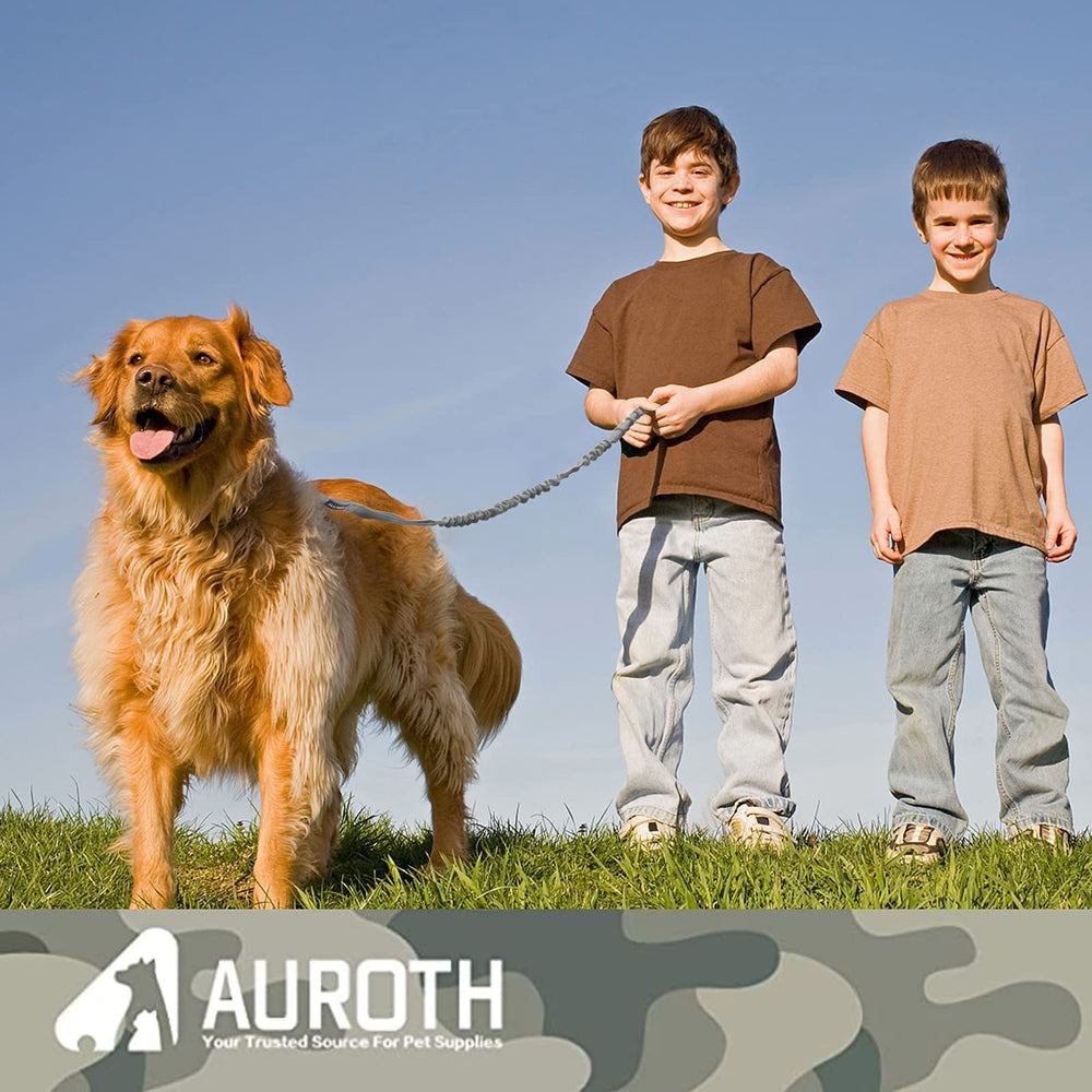 AUROTH 4ft-close-control leash enables precise near-field control.
