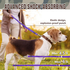 AUROTH reflective stitching leash improves nighttime visibility during strolls