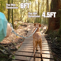 AUROTH leash features reflective stitching for nighttime visibility during safe evening walks.