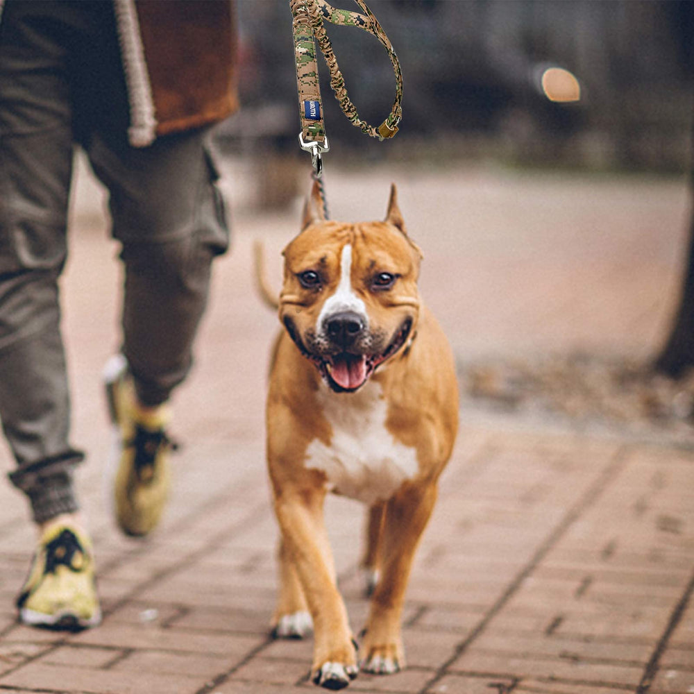 AUROTH reinforced stitching and rotating swivel help prevent tangles during busy walks.